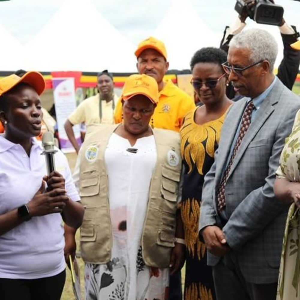 Public-Private Mix (PPM)